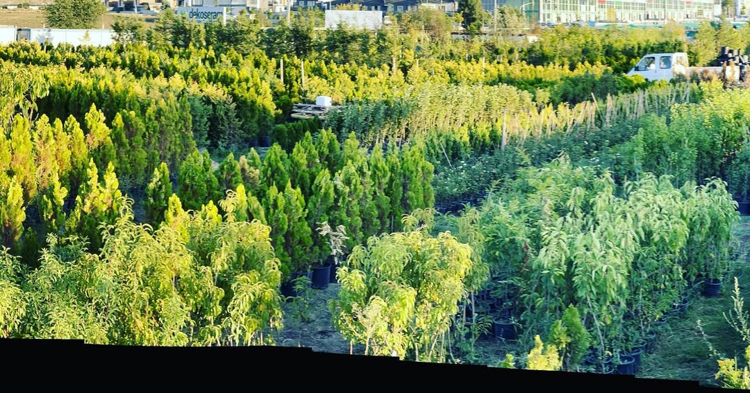 Ankara Villa Bahçesi